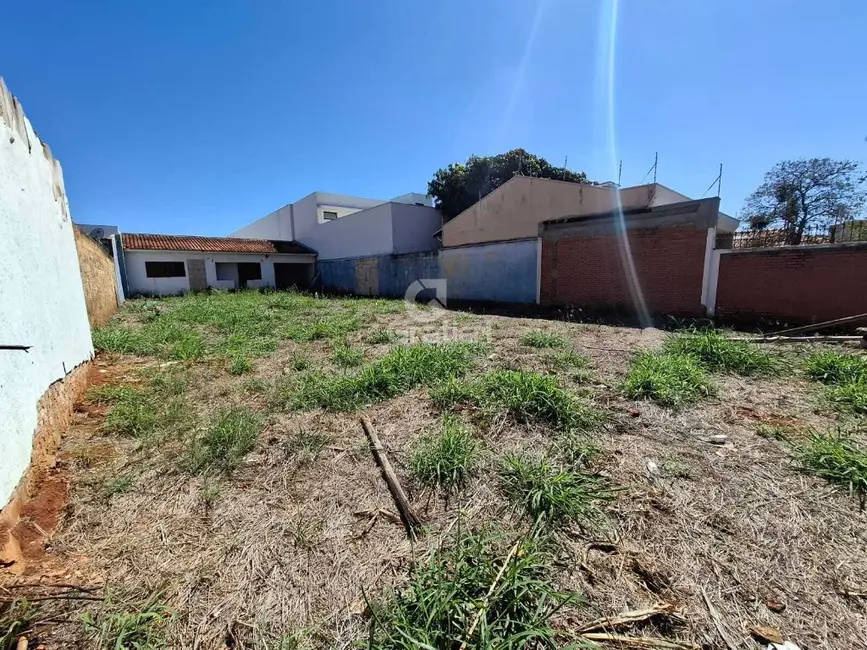 Terreno / Lote à venda, 420m2 em Vila Velosa, Araraquara - SP - imagem 1 Foto 1 de Terreno / Lote à venda, 420m2 em Vila Velosa, Araraquara - SP