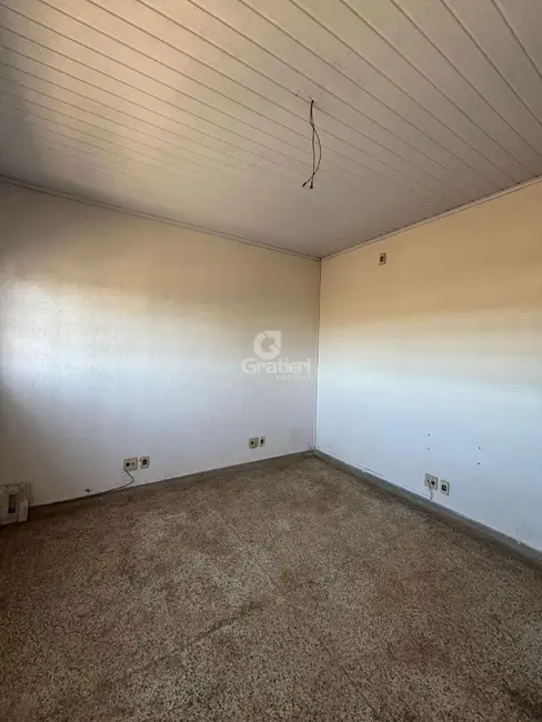 Armazém / Galpão para alugar, 215m2 em Jardim Eliana, Araraquara - SP - imagem 9 Foto 9 de Armazém / Galpão para alugar, 215m2 em Jardim Eliana, Araraquara - SP