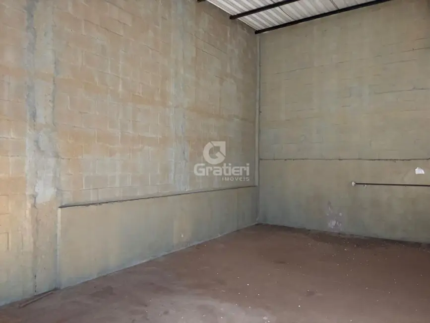 Armazém / Galpão para alugar em Jardim Rafaela Amoroso Micelli, Araraquara - SP - imagem 3 Foto 3 de Armazém / Galpão para alugar em Jardim Rafaela Amoroso Micelli, Araraquara - SP
