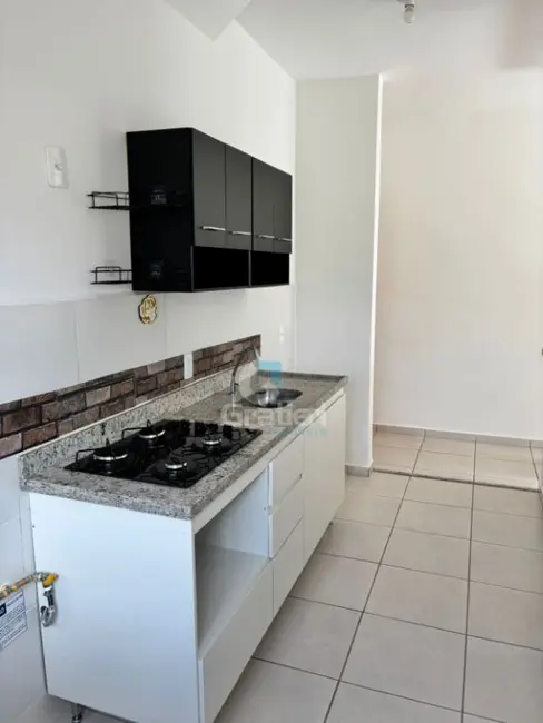 Apartamento com 2 quartos para alugar, 50m2 em Residencial Cambuy, Araraquara - SP - imagem 3 Foto 3 de Apartamento com 2 quartos para alugar, 50m2 em Residencial Cambuy, Araraquara - SP