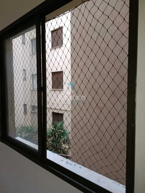 Apartamento com 2 quartos à venda, 43m2 em Jardim Residencial Paraíso, Araraquara - SP - imagem 9 Foto 9 de Apartamento com 2 quartos à venda, 43m2 em Jardim Residencial Paraíso, Araraquara - SP