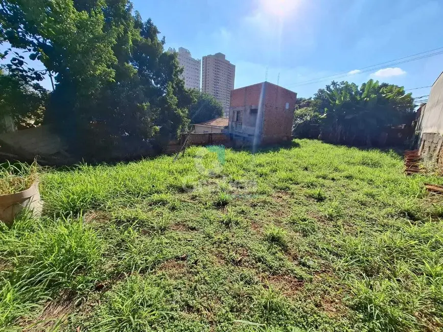 Casa com 3 quartos à venda, 154m2 em Centro, Araraquara - SP - imagem 6 Foto 6 de Casa com 3 quartos à venda, 154m2 em Centro, Araraquara - SP