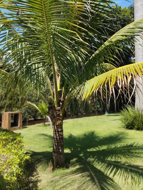 Chácara com 3 quartos à venda, 800m2 em Éden, Sorocaba - SP - imagem 5 Foto 5 de Chácara com 3 quartos à venda, 800m2 em Éden, Sorocaba - SP