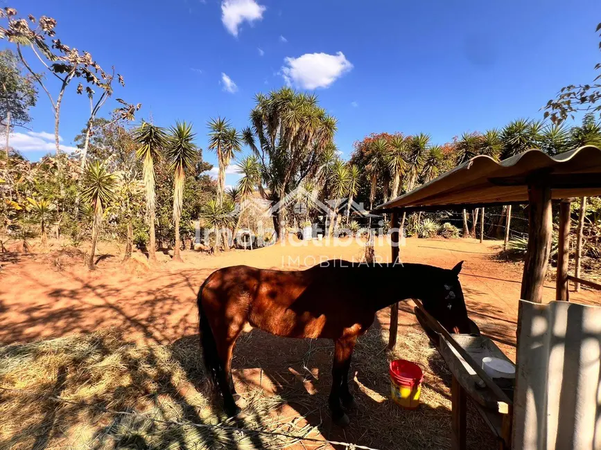 Foto 8 de Chácara com 5 quartos à venda, 9000m2 em Centro, Braganca Paulista - SP