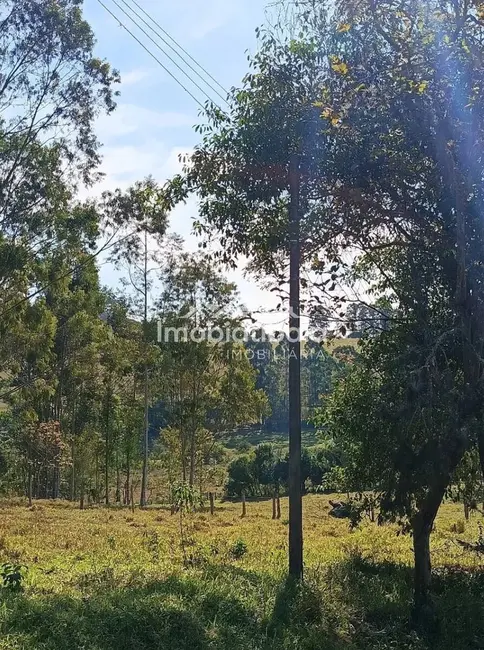 Terreno / Lote à venda, 20000m2 em Cachoeira, Atibaia - SP - imagem 3 Foto 3 de Terreno / Lote à venda, 20000m2 em Cachoeira, Atibaia - SP