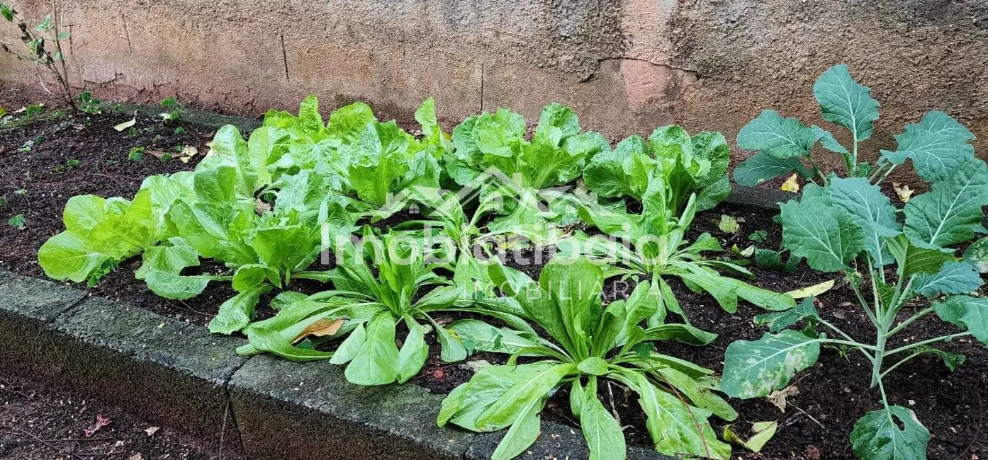 Foto 5 de Chácara com 3 quartos à venda, 2400m2 em Centro, Jarinu - SP