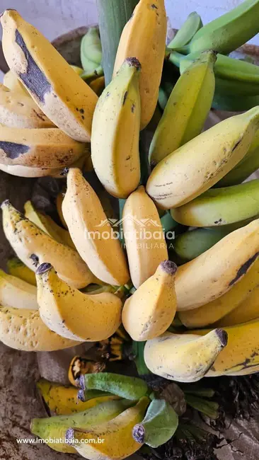 Foto 9 de Chácara com 4 quartos à venda, 4105m2 em Atibaia - SP