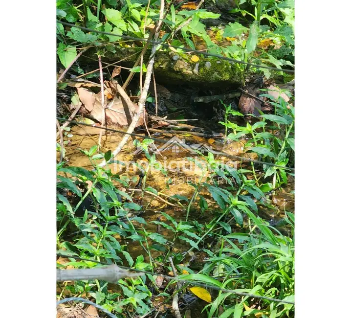 Foto 5 de Sítio / Rancho com 2 quartos à venda, 532400m2 em Piracaia - SP