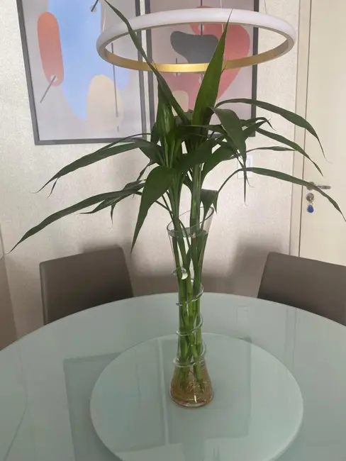 Foto 7 de Apartamento com 2 quartos à venda, 50m2 em Cristo Rei, Curitiba - PR