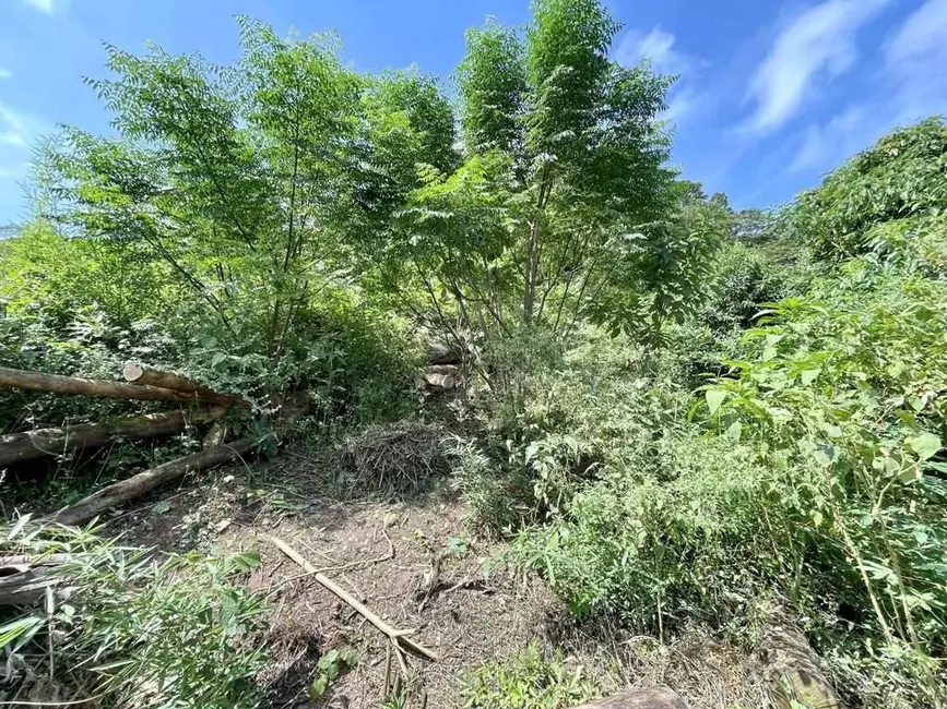 Foto 10 de Terreno / Lote à venda em Vila Santo Antônio, Cotia - SP