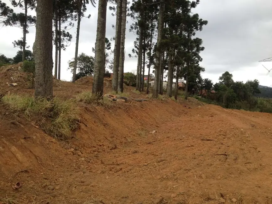 Foto 6 de Terreno / Lote à venda, 2743m2 em Jardim Sandra, Cotia - SP