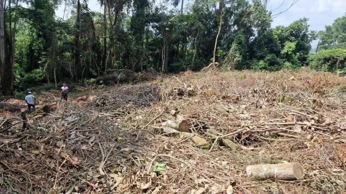 Foto 6 de Lote de Condomínio à venda, 1403m2 em Jardim São Vicente, Cotia - SP