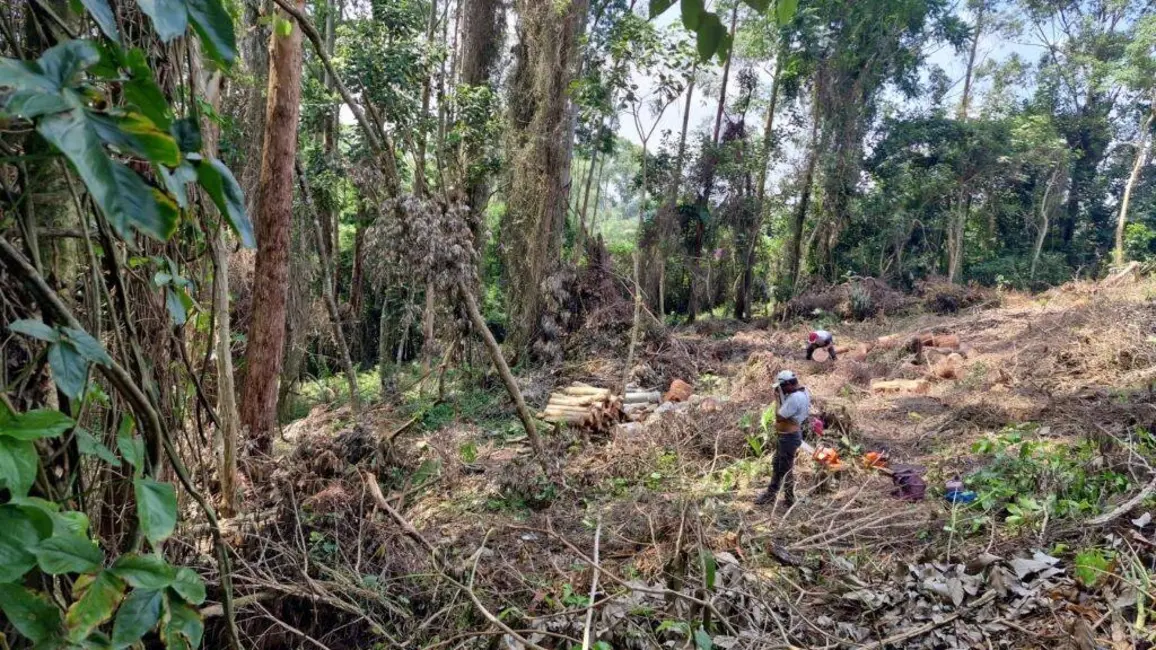Foto 4 de Lote de Condomínio à venda, 1403m2 em Jardim São Vicente, Cotia - SP