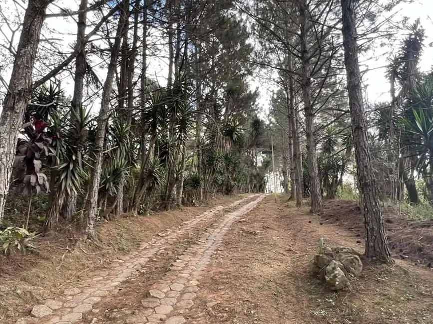 Foto 9 de Terreno / Lote à venda em Taboleiro Verde, Cotia - SP