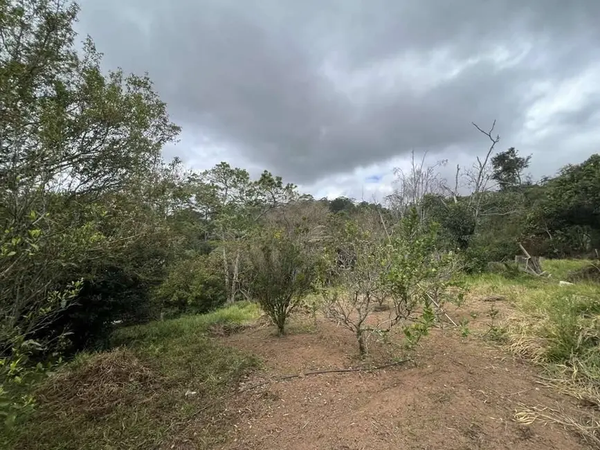 Foto 15 de Terreno / Lote à venda em Taboleiro Verde, Cotia - SP