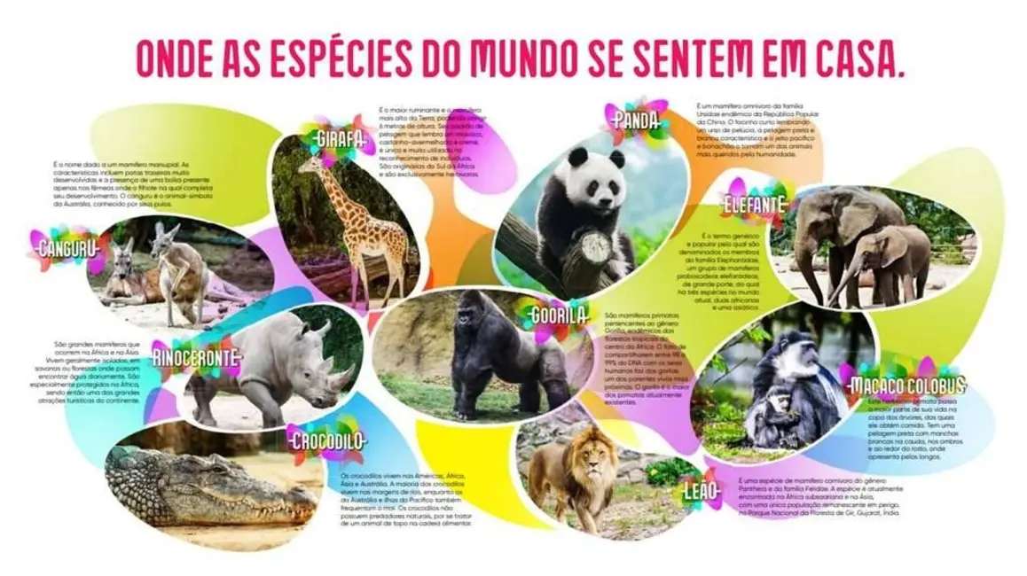 Foto 30 de Terreno / Lote à venda em Taboleiro Verde, Cotia - SP