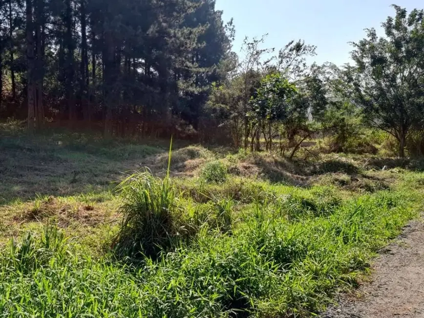 Terreno / Lote à venda em Chácara Santa Lúcia, Carapicuiba - SP - imagem 7 Foto 7 de Terreno / Lote à venda em Chácara Santa Lúcia, Carapicuiba - SP