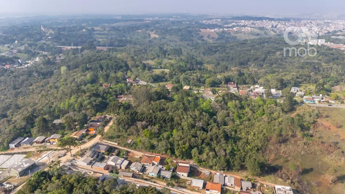 Terreno / Lote à venda, 15400m2 em Colônia Faria, Colombo - PR - imagem 8 Foto 8 de Terreno / Lote à venda, 15400m2 em Colônia Faria, Colombo - PR