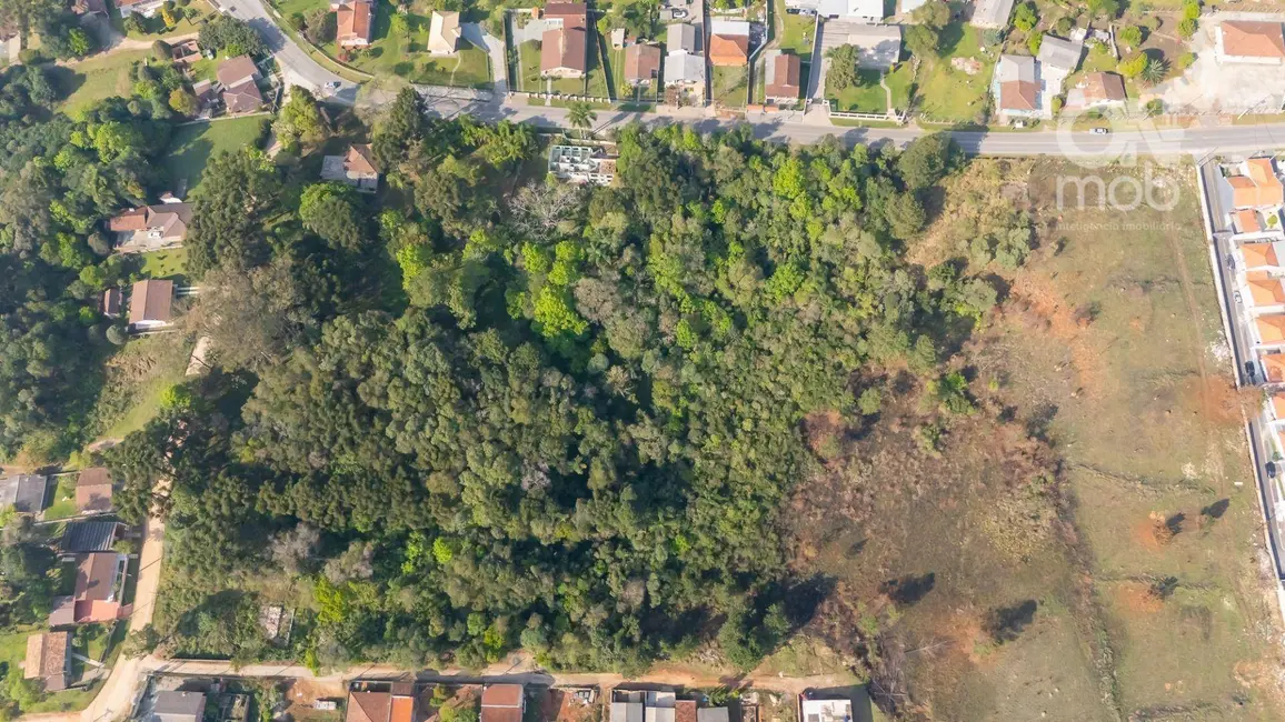Terreno / Lote à venda, 15400m2 em Colônia Faria, Colombo - PR - imagem 5 Foto 5 de Terreno / Lote à venda, 15400m2 em Colônia Faria, Colombo - PR