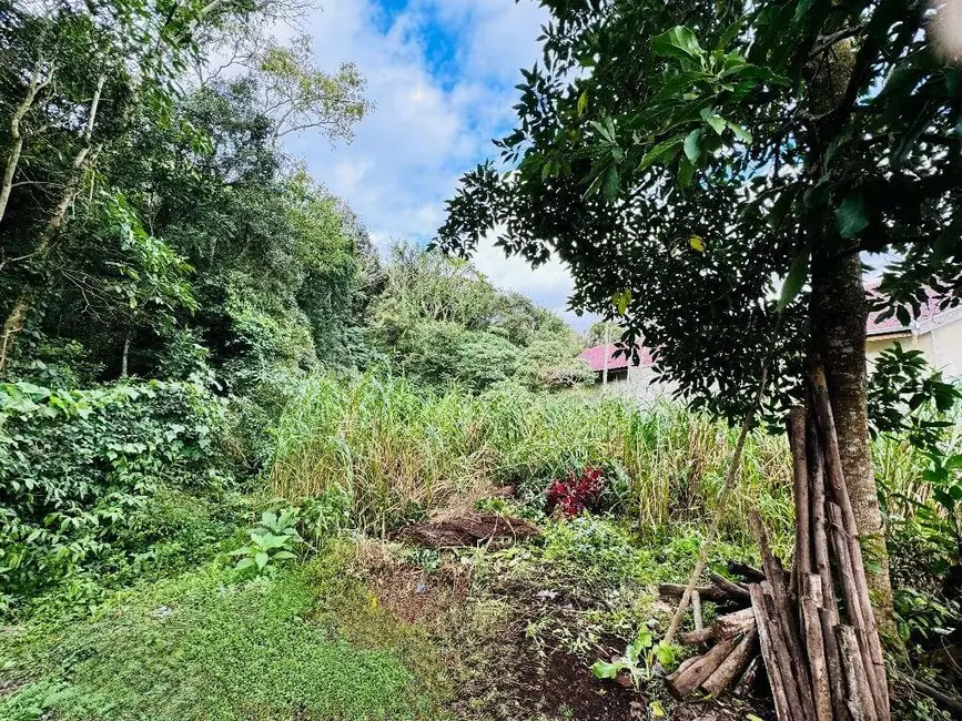 Terreno / Lote à venda, 647m2 em Santo Inácio, Curitiba - PR - imagem 8 Foto 8 de Terreno / Lote à venda, 647m2 em Santo Inácio, Curitiba - PR
