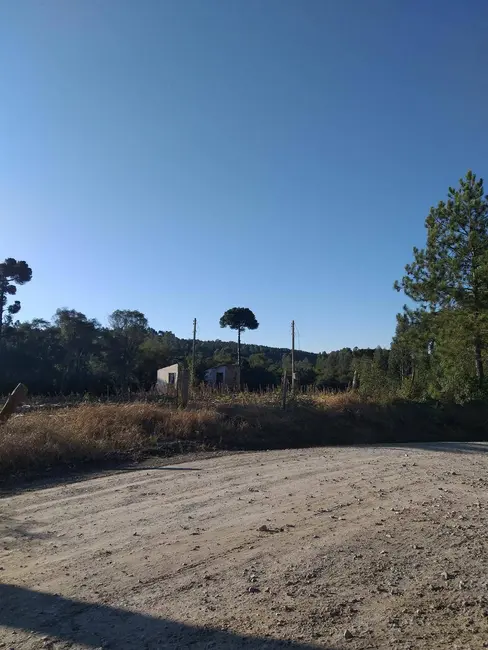 Foto 3 de Chácara à venda em Rio Negro - PR
