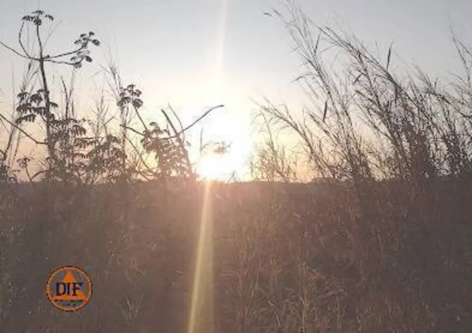 Foto 2 de Terreno / Lote à venda, 250m2 em Chácara São Félix, Taubate - SP