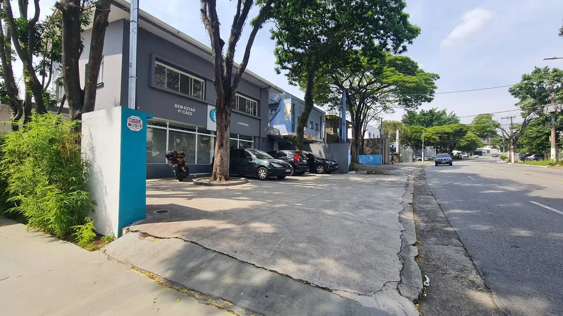 Foto 5 de Sala Comercial para alugar, 226m2 em Pacaembu, São Paulo - SP