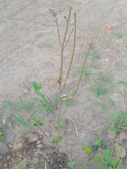 Foto 8 de Chácara à venda, 1730m2 em Chácara Itapoã, Jacarei - SP