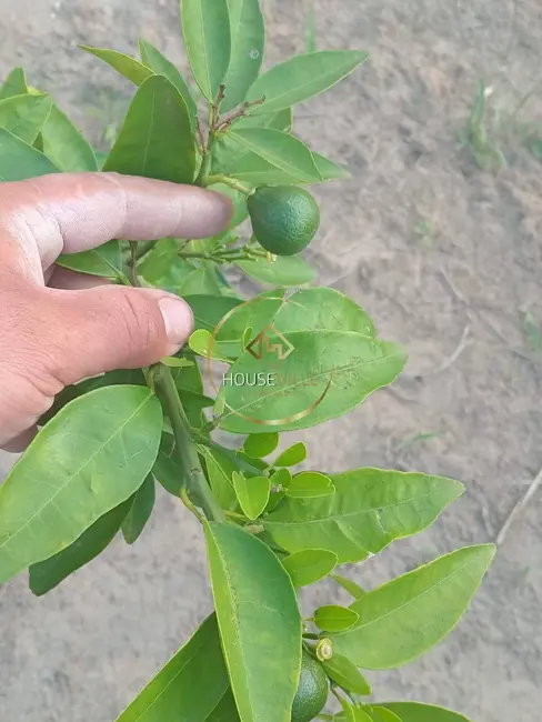 Foto 21 de Chácara à venda, 1730m2 em Chácara Itapoã, Jacarei - SP