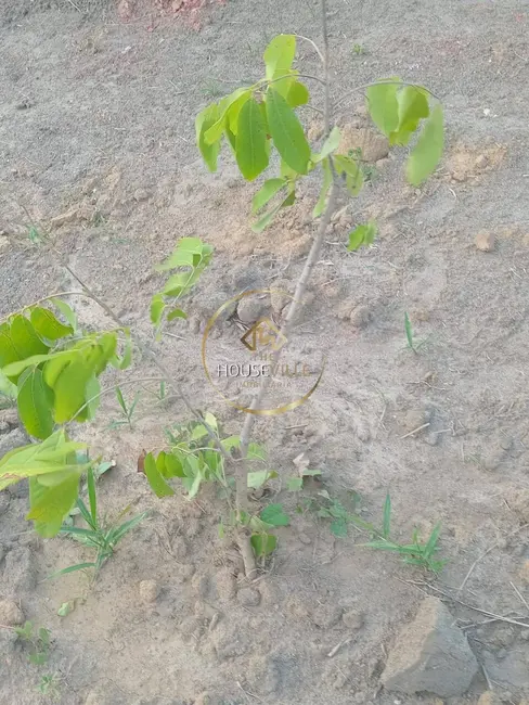 Foto 7 de Chácara à venda, 1730m2 em Chácara Itapoã, Jacarei - SP