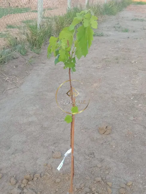 Foto 15 de Chácara à venda, 1730m2 em Chácara Itapoã, Jacarei - SP