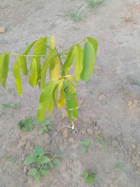 Foto 11 de Chácara à venda, 1730m2 em Chácara Itapoã, Jacarei - SP