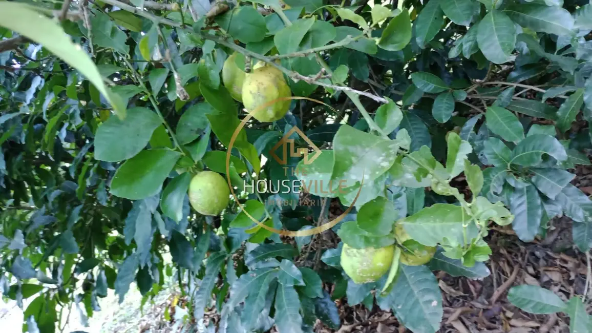 Chácara com 2 quartos à venda, 120m2 em Jambeiro - SP - imagem 7 Foto 7 de Chácara com 2 quartos à venda, 120m2 em Jambeiro - SP