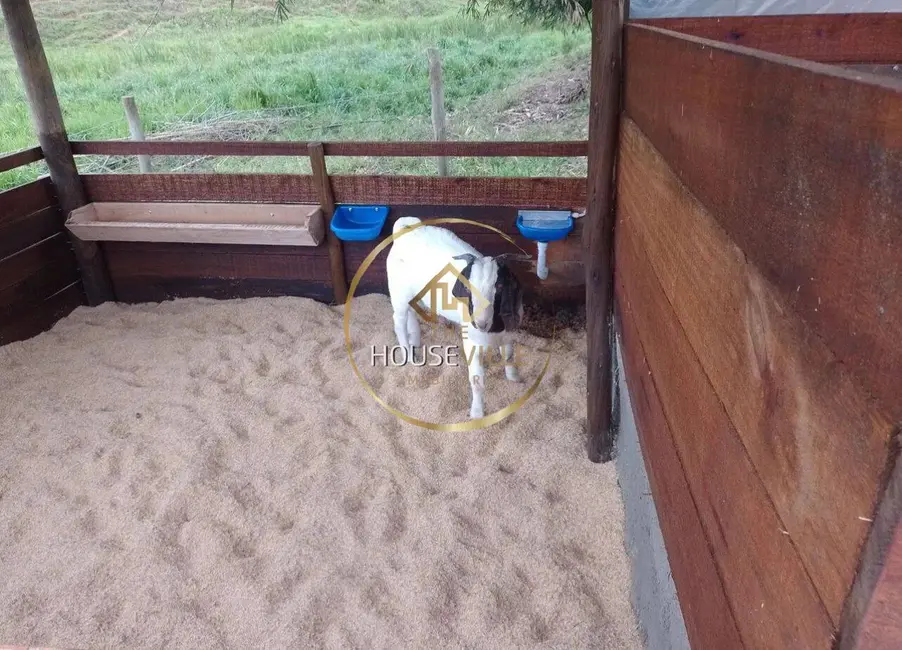 Chácara com 2 quartos à venda, 12000m2 em Paraibuna - SP - imagem 5 Foto 5 de Chácara com 2 quartos à venda, 12000m2 em Paraibuna - SP