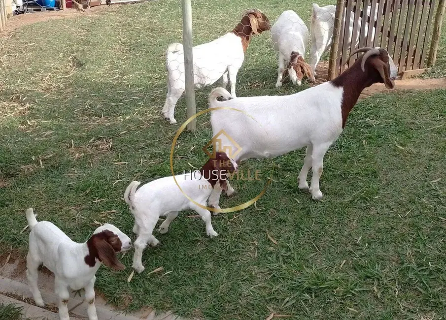 Chácara com 2 quartos à venda, 12000m2 em Paraibuna - SP - imagem 4 Foto 4 de Chácara com 2 quartos à venda, 12000m2 em Paraibuna - SP