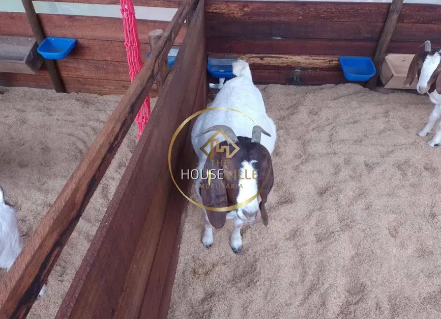 Chácara com 2 quartos à venda, 12000m2 em Paraibuna - SP - imagem 6 Foto 6 de Chácara com 2 quartos à venda, 12000m2 em Paraibuna - SP