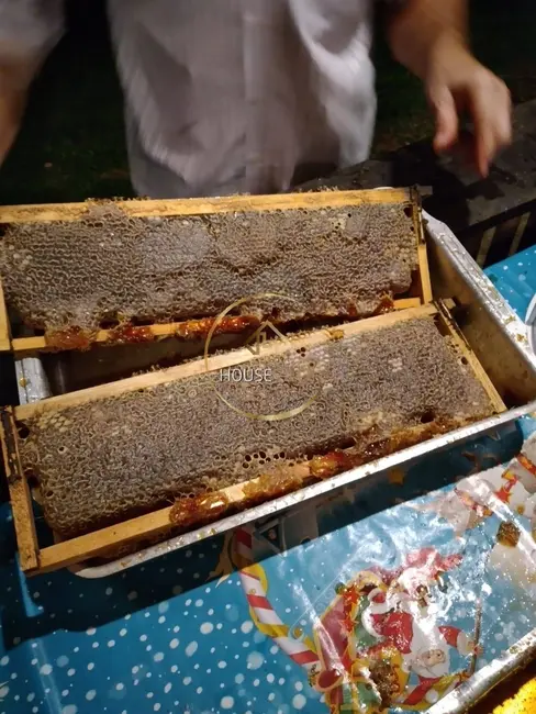 Foto 9 de Fazenda / Haras com 3 quartos à venda, 1440000m2 em Sao Jose Dos Campos - SP