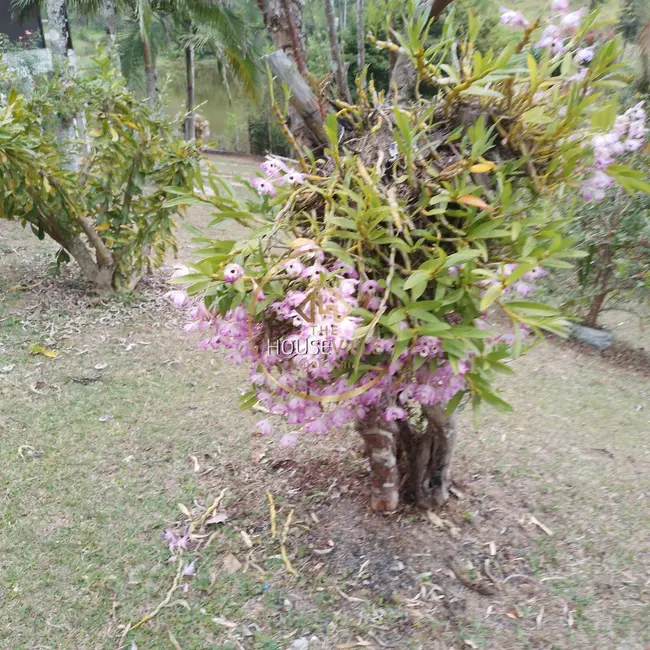 Foto 3 de Fazenda / Haras com 3 quartos à venda, 1440000m2 em Sao Jose Dos Campos - SP