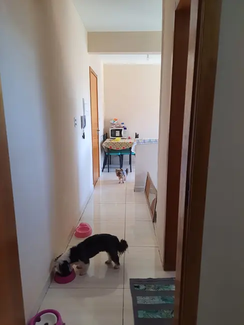 Apartamento com 2 quartos à venda, 50m2 em Jardim Eloyna, Pindamonhangaba - SP - imagem 6 Foto 6 de Apartamento com 2 quartos à venda, 50m2 em Jardim Eloyna, Pindamonhangaba - SP