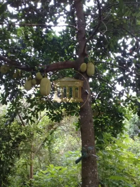 Foto 6 de Casa com 2 quartos à venda, 360m2 em Pindamonhangaba - SP