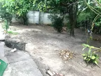 Imagem 11