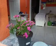 Imagem 9