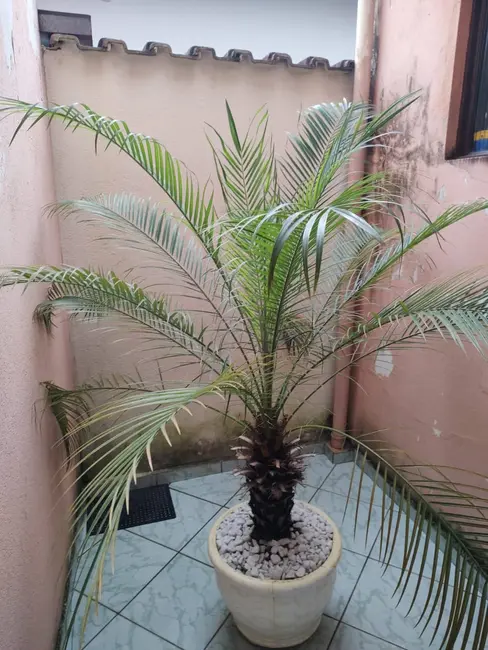 Foto 7 de Casa à venda, 260m2 em Crispim, Pindamonhangaba - SP