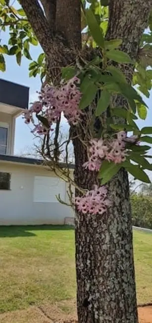 Foto 2 de Casa de Condomínio com 3 quartos à venda, 314m2 em Chácara São Félix, Taubate - SP