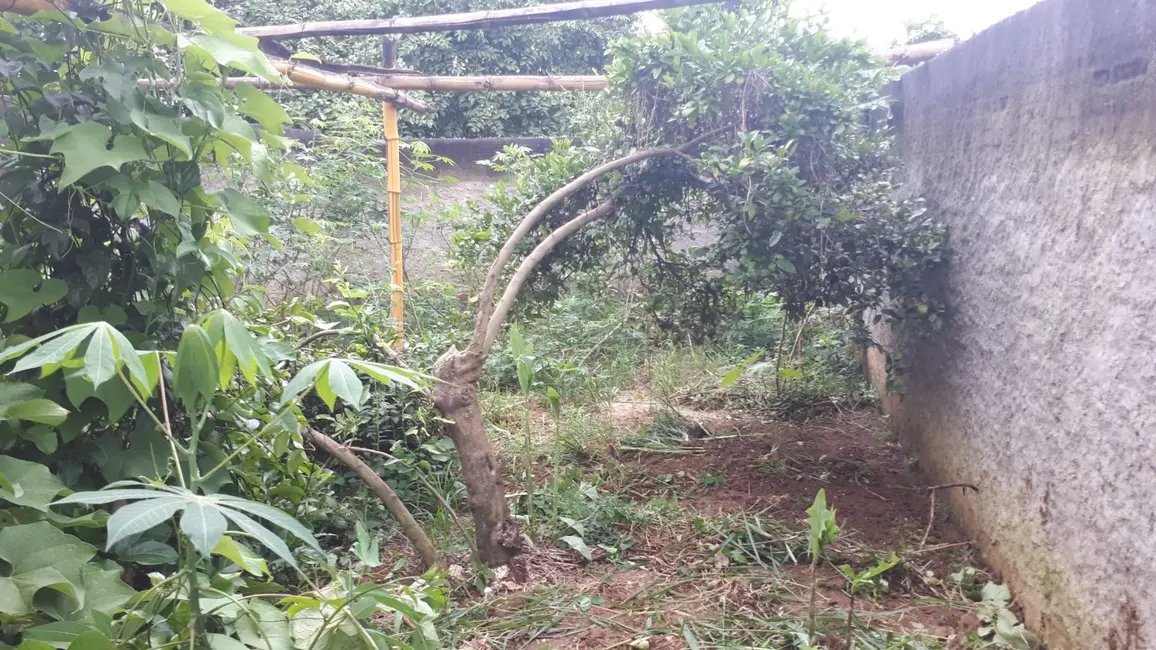 Casa com 2 quartos à venda, 74m2 em Vila São João, Pindamonhangaba - SP - imagem 8 Foto 8 de Casa com 2 quartos à venda, 74m2 em Vila São João, Pindamonhangaba - SP