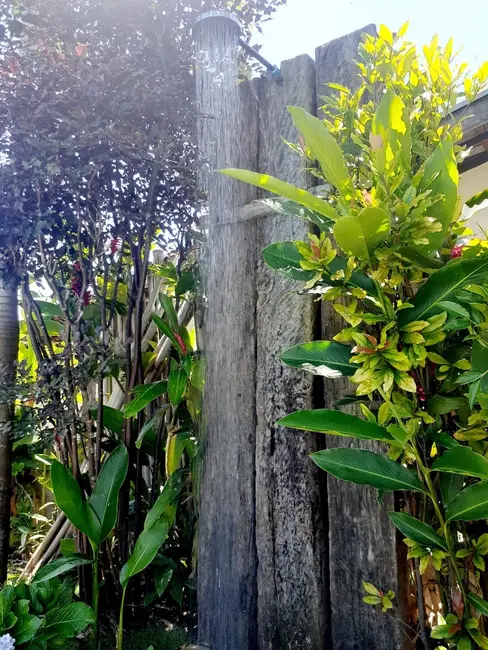 Foto 8 de Sobrado com 5 quartos à venda, 485m2 em Jardim Residencial Doutor Lessa, Pindamonhangaba - SP