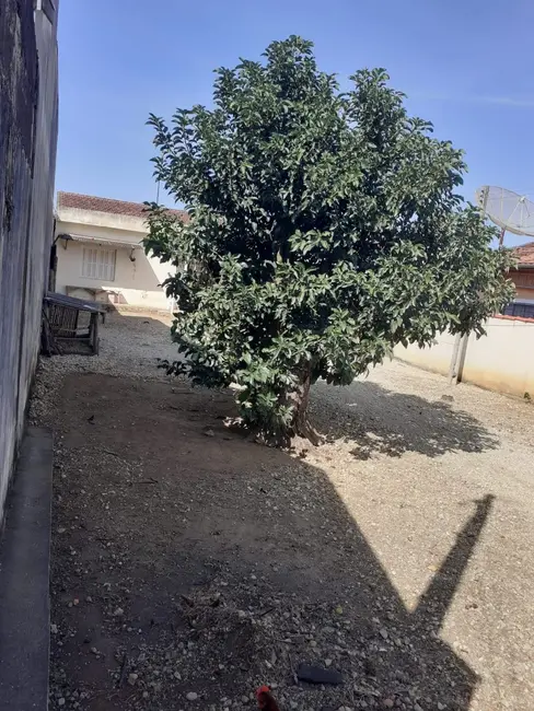 Foto 2 de Casa com 1 quarto à venda, 50m2 em Parque São Domingos, Pindamonhangaba - SP