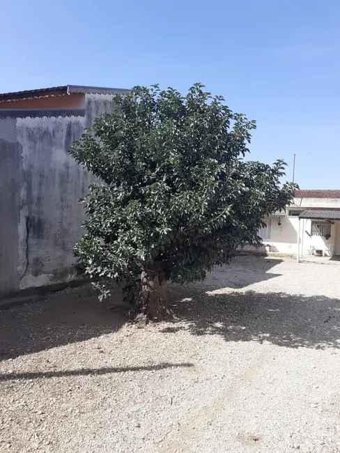 Foto 4 de Casa com 1 quarto à venda, 50m2 em Parque São Domingos, Pindamonhangaba - SP