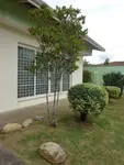 Imagem 11