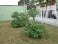 Imagem 12